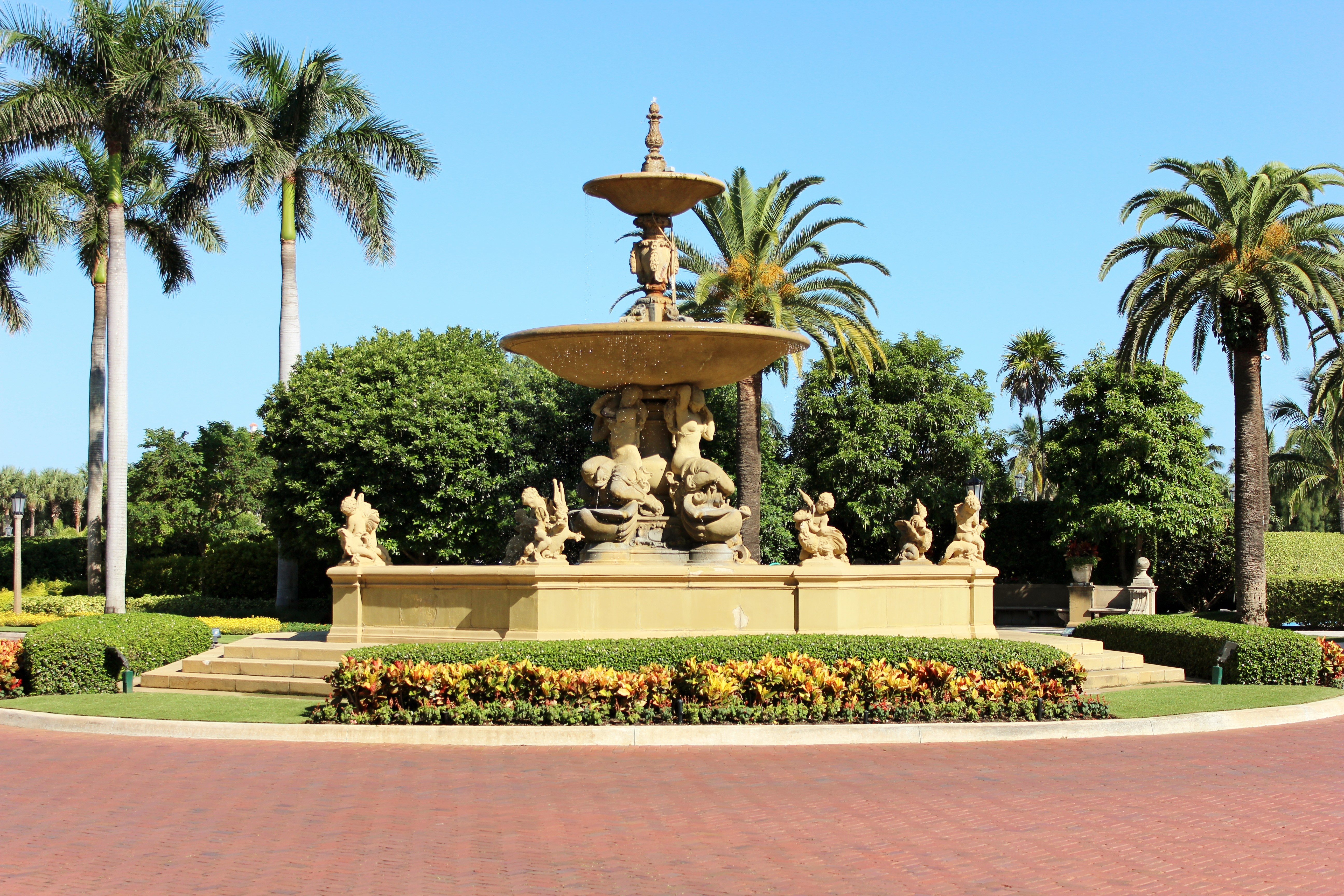 fountain, palm trees, flowers