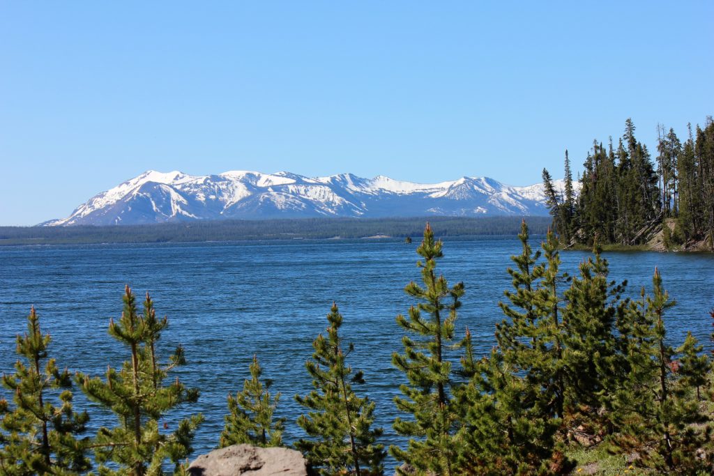 mountain, lake, pine trees